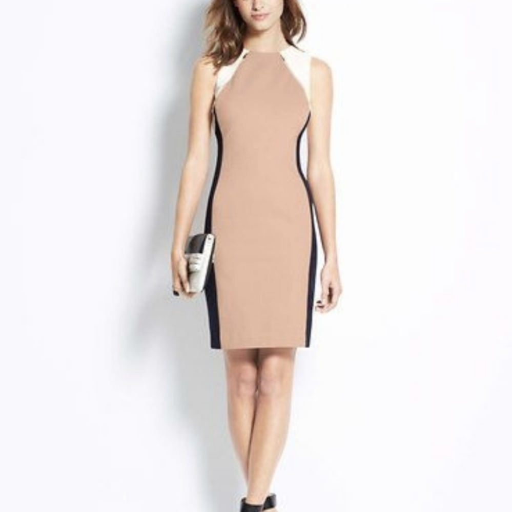 Ann Taylor Women's Colorblock Dress
